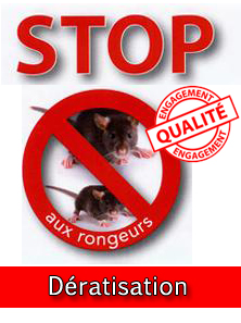 Dératisation à Meknès - Spécialiste anti-nuisible
