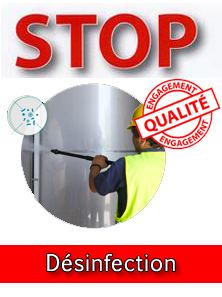 Désinfection à Meknès - Spécialiste anti-nuisible