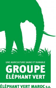 SOCIETE ELEPHANT VERT